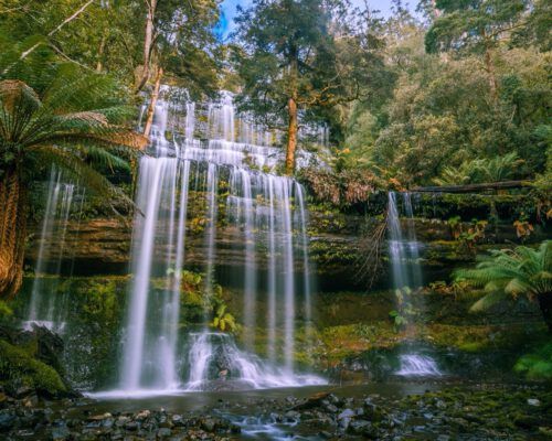 sassafras-tasmania-location-101