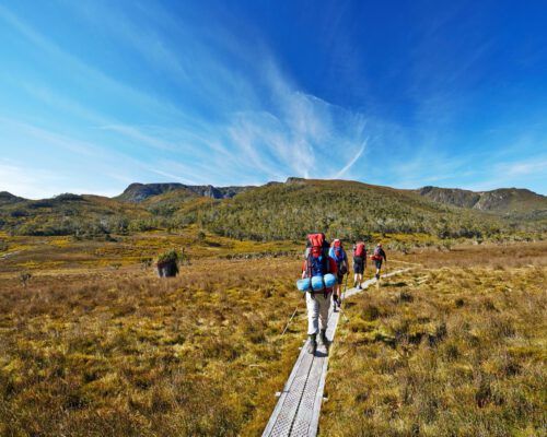 sassafras-tasmania-location-15