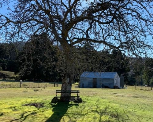 tasmanian-wilderness-cottage-accommodation(12)