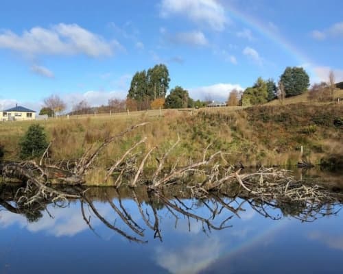 tasmanian-wilderness-cottage-accommodation(30)