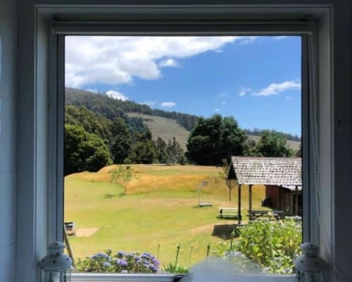 tasmanian-wilderness-cottage-accommodation(54)